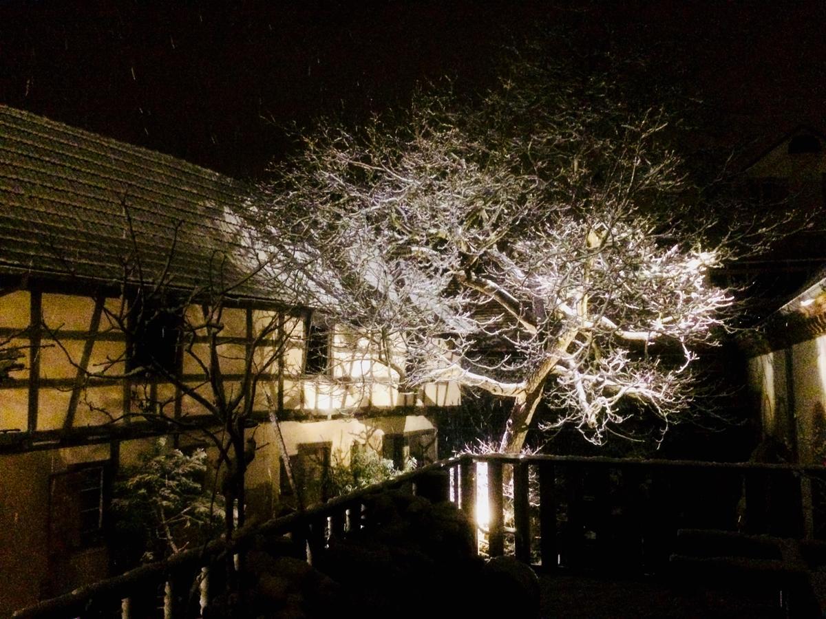 L'Ours Bed & Breakfast Bischwiller Dış mekan fotoğraf